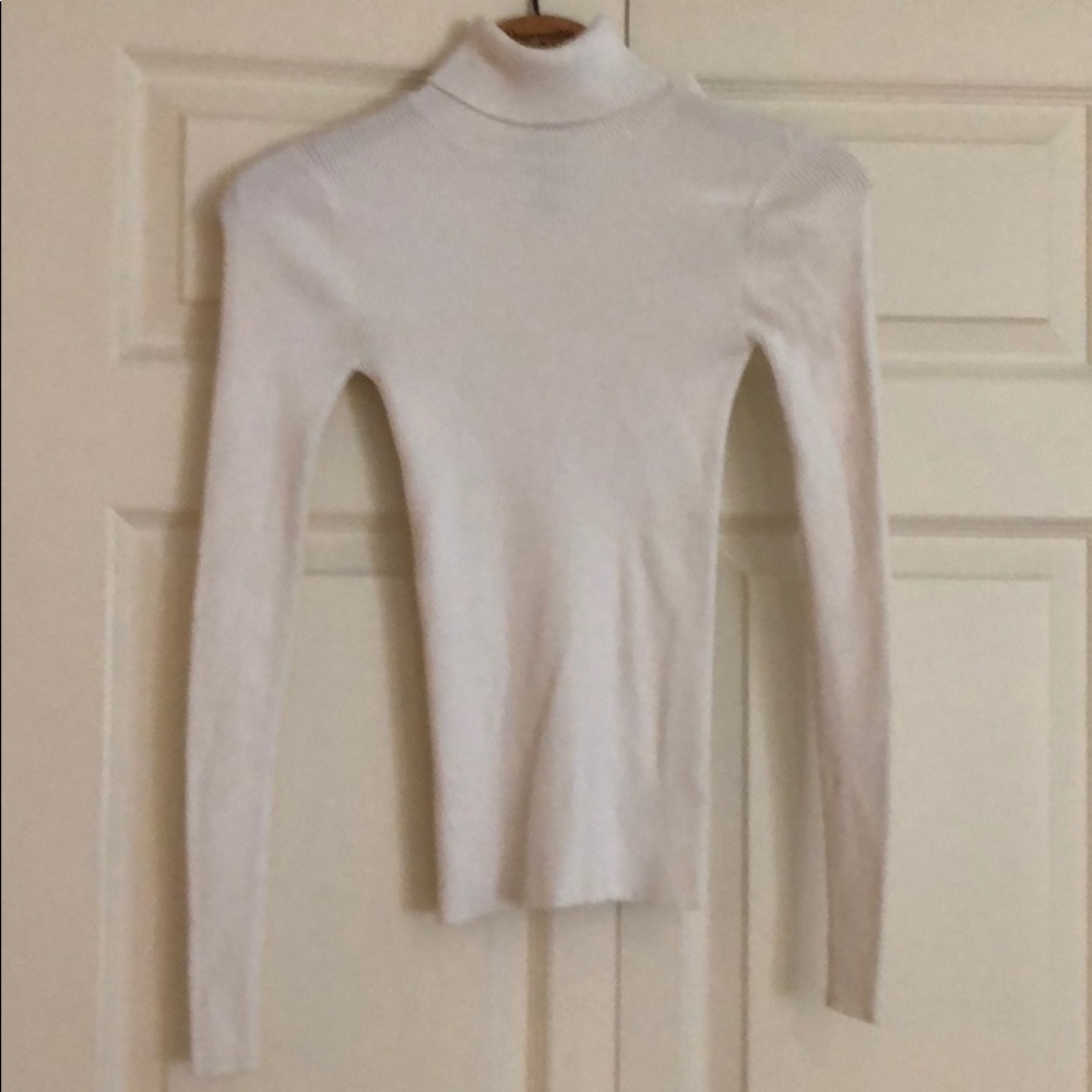 Express ribbed turtleneck